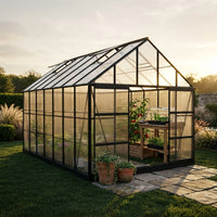 10 Ft. X 14 Ft. Black Frame Clear Garden Greenhouse, Solarium, and Conservatory — Studio Shot